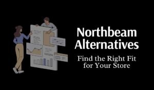 Northbeam Alternatives