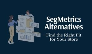 SegMetrics Alternatives